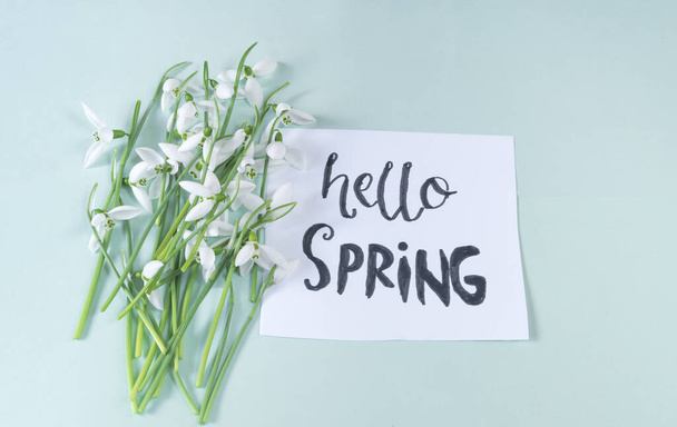 Hello spring calligraphy note decorated with snowdrops on light green background. - Photo, image