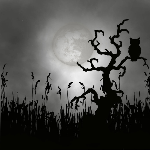 Черно-белая иллюстрация. Старое дерево, тростник и сова на фоне неба и луны
. - Фото, изображение