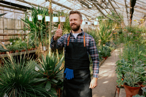En frente de la cámara atractiva jardinero posando y mostrando un pulgar hacia arriba mientras está de pie en el medio del invernadero de flores
 - Foto, Imagen