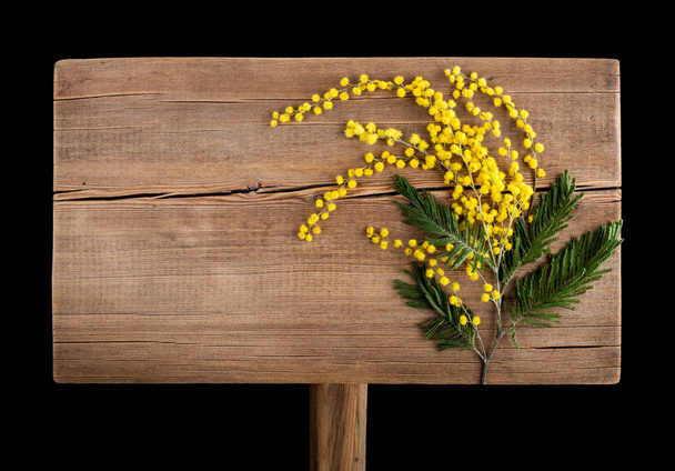 Lindas flores de mimosa amarelo primavera com espaço para texto sobre fundo de madeira brilhante. Cartão de saudação com buquê. Conceito de início de primavera. Vista superior, flat lay
 - Foto, Imagem