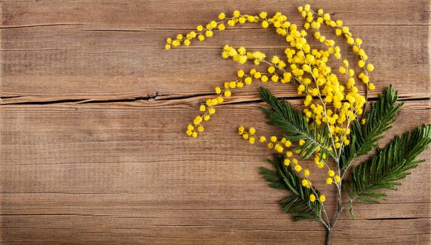 Gyönyörű tavaszi sárga mimóza virágok helyet a szöveg fényes fa háttér. Üdvözlőlap csokorral. Tavaszi kezdet. Felülnézet, lapos fektetés - Fotó, kép