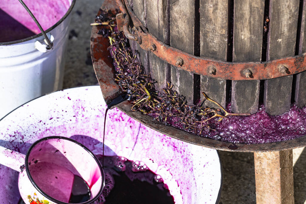  La vinificazione. Tecnologia di produzione del vino in Moldavia. L'antica tradizione popolare della lavorazione dell'uva. Lo spremiagrumi viene utilizzato per spremere il vino. - Foto, immagini