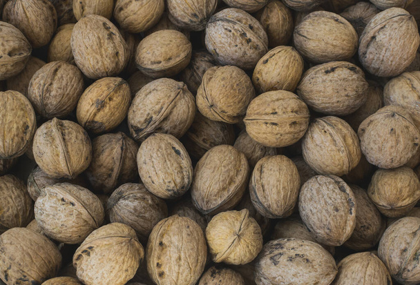 Natural walnut background pattern texture Abstract walnuts heap pattern background Blurred edges frame Natural food in-shell nuts walnuts pattern backdrop Walnuts in shell background dramatic contrast. - Photo, Image