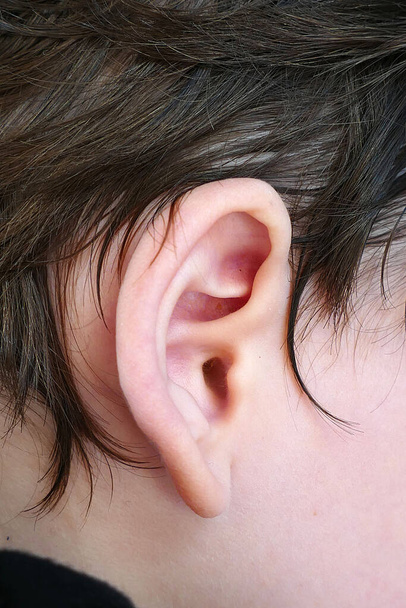детское ухо, ушная инфекция у младенцев, ухо малыша
, - Фото, изображение