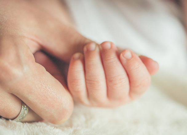 Mother Holding Baby's Hand - Foto, Imagen