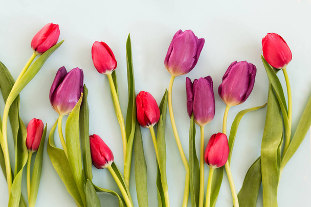 Red Spring tulips on paper background - Photo, image