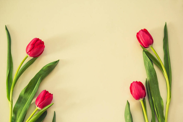 Spring tulips on paper background - Photo, Image