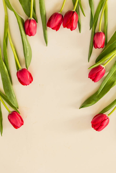 Spring tulips on paper background - Φωτογραφία, εικόνα