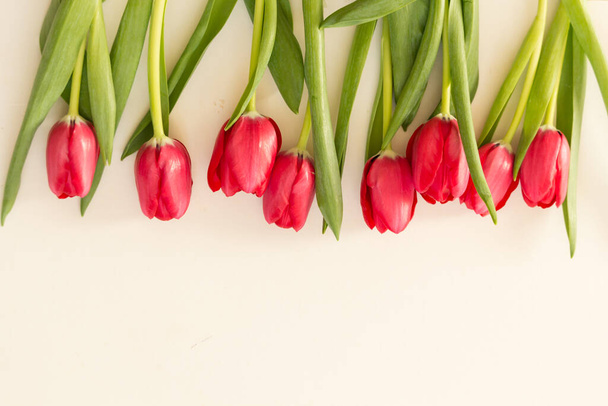 Spring tulips on paper background - Fotoğraf, Görsel