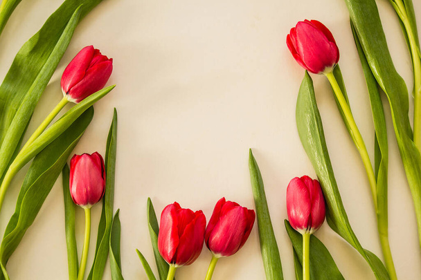 Spring tulips on paper background - Фото, изображение