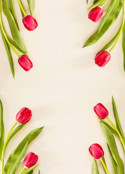 Red Spring tulips on cream paper background - Foto, Imagen