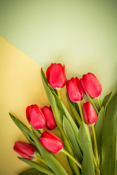 Spring tulips on yellow and green paper background - Φωτογραφία, εικόνα