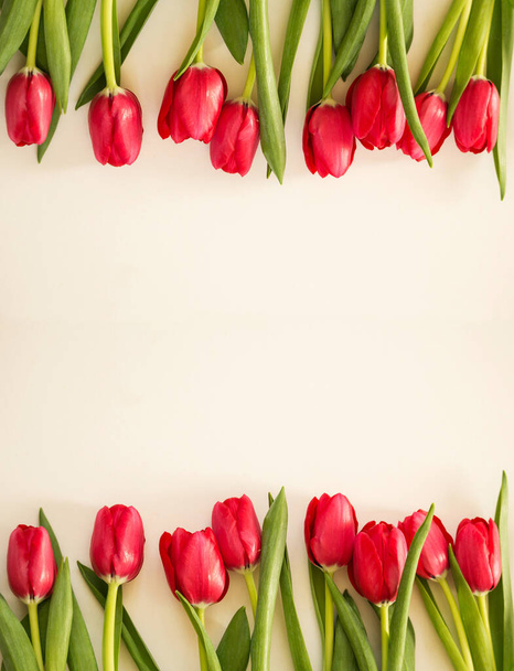 Red Spring tulips on cream paper background - 写真・画像