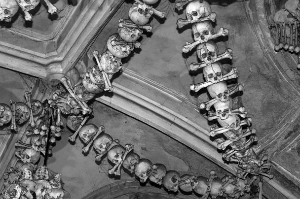 menselijke botten, zwart-wit. - Foto, afbeelding