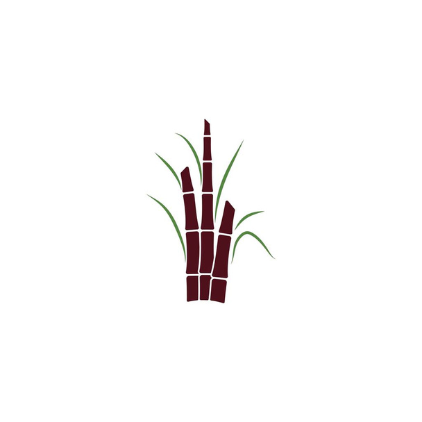 Cukornád növény logó vektor illusztráció tervezés - Vektor, kép