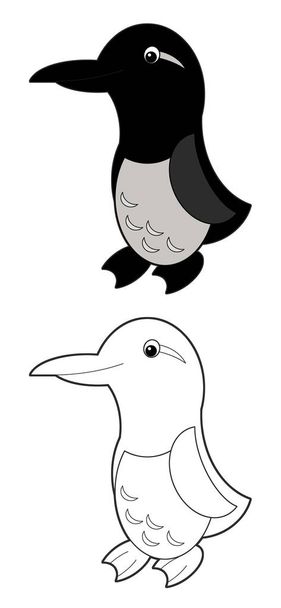 Cartoon animal bird guilemot on white background - coloring page sketchbook illustration for the children - 写真・画像