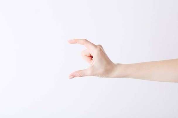 Empty female hand making gesture like holding something on white background. - Fotoğraf, Görsel