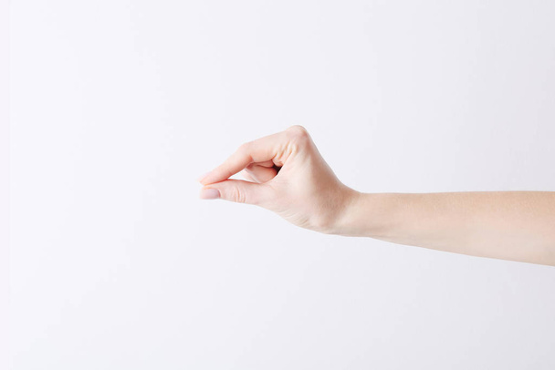 Empty female hand making gesture like holding something on white background. - Foto, Bild