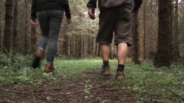 Dwie osoby pojawiają się w kadrze, gdy przechodzą przez bujny las Waszyngtoński, pod niskim kątem. - Materiał filmowy, wideo