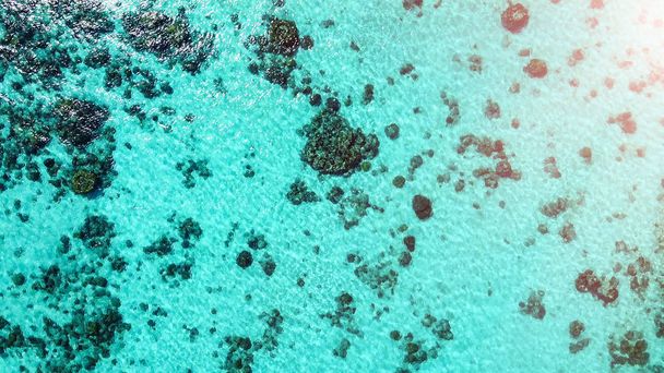 Overhead aerial view of beautiful ocean with coral reef from drone. - Фото, изображение