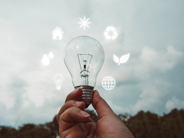 Concept save energy efficiency. Hand holding light bulb with icon on blurred tree and sky background - 写真・画像