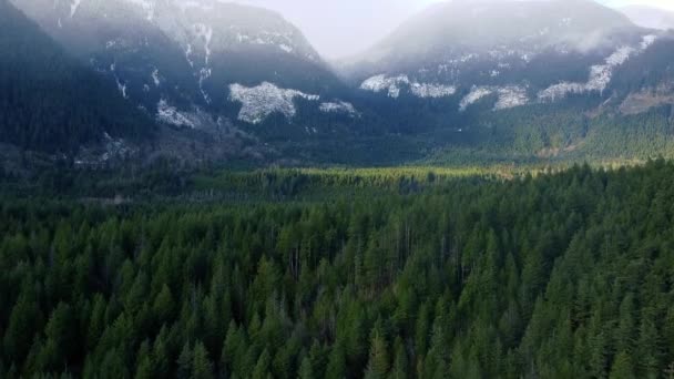 Apertura de las montañas parcialmente cubiertas con la nieve y el bosque verde en frente
 - Metraje, vídeo