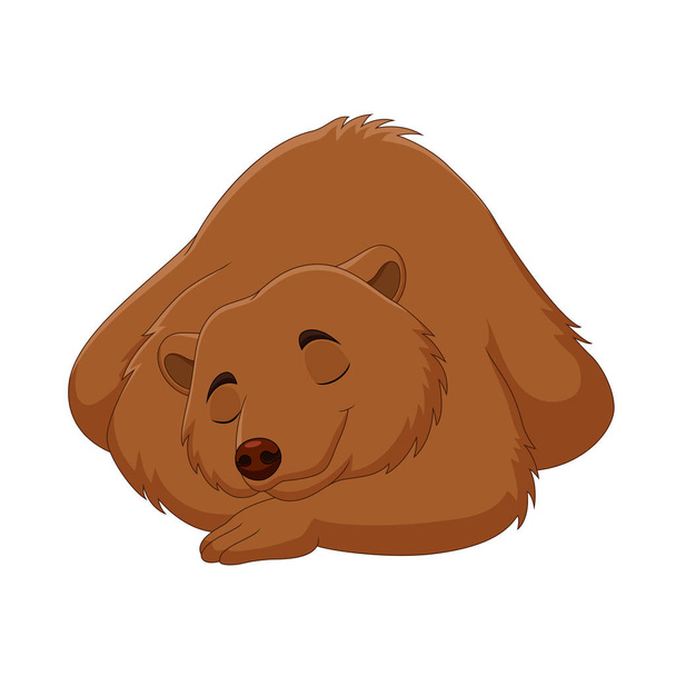 Vector illustration ofCartoon funny brown bear sleeping - Vector, Image