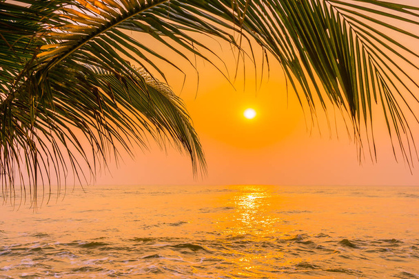 Природа с пальмами вокруг морского пляжа на закате или восходе солнца - Фото, изображение