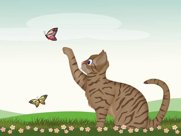cat plays with butterflies in the meadow - Fotoğraf, Görsel