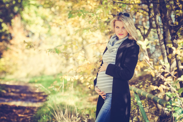 Hermosas mujeres embarazadas está posando en un bosque colorido durante Aut
 - Foto, imagen
