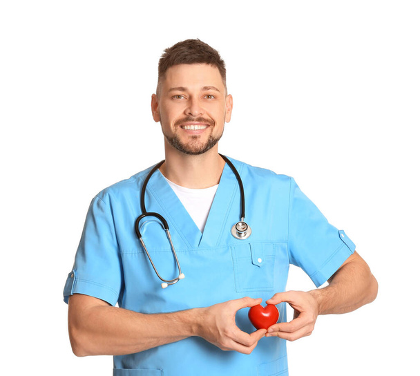 Male cardiologist on white background - Photo, Image