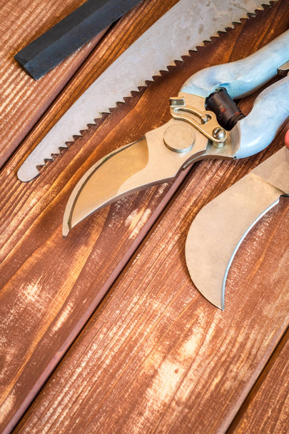 Набор инструментов для садоводов на старинных деревянных досках подготовлен перед обрезкой сада весной
 - Фото, изображение
