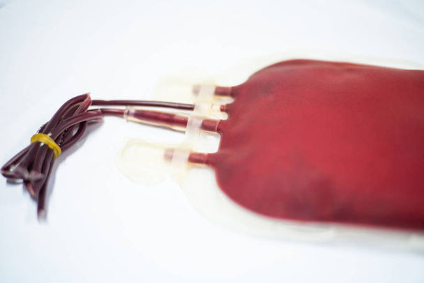 Zamknąć czerwoną torbę krwi w laboratorium banku krwi. - Zdjęcie, obraz