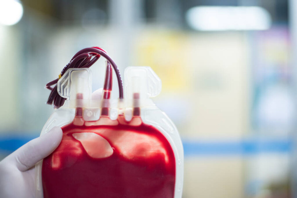 Fechar saco de sangue vermelho no laboratório do banco de sangue
. - Foto, Imagem
