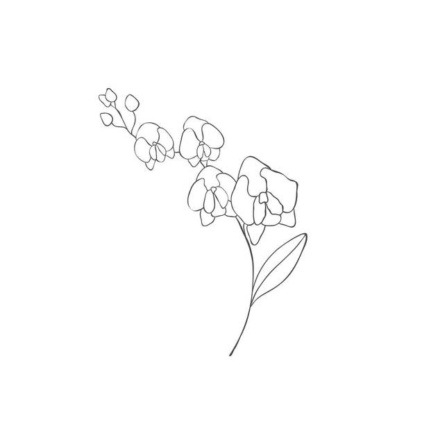 Hand drawn plant branches. Greenery design elements. Botanical logos. - Vektör, Görsel