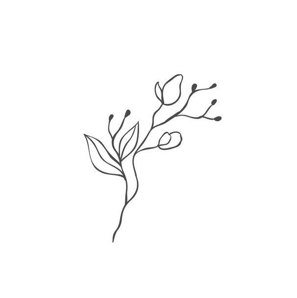 Hand drawn plant branches. Greenery design elements. Botanical logos. - Вектор, зображення