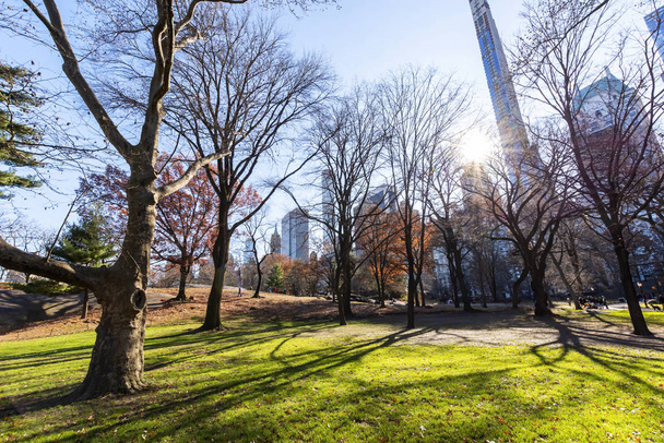 Mooie winterdag in Central Park, een van de meest bezochte toeristische attracties wereldwijd in Manhattan, New York City. - Foto, afbeelding