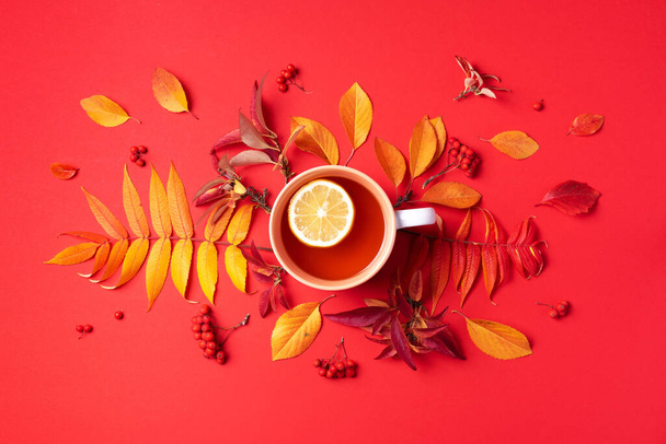 Autumn flat lay composition. Cup of tea, autumn bright leaves on red background. Top view. Flat lay. Autumn season concept - 写真・画像