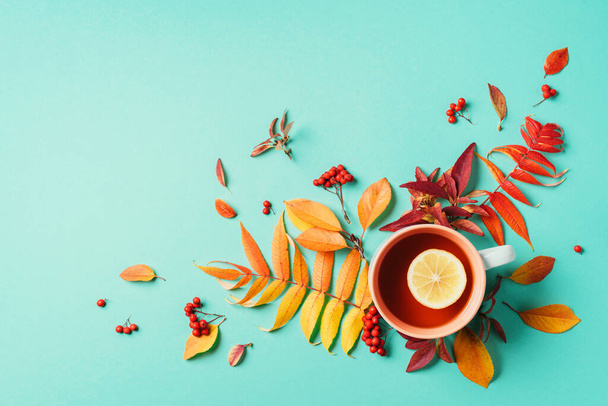 Autumn flat lay composition. Cup of tea, autumn bright leaves on blue background. Top view. Flat lay. Autumn season concept - Fotó, kép