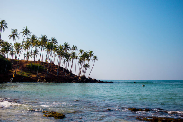 Scenic view to Coconut palm hill in Mirissa bay in Sri lanka. - Photo, image