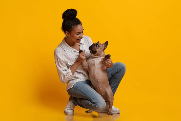 Young woman playing with her cute funny dog in studio - Foto, immagini