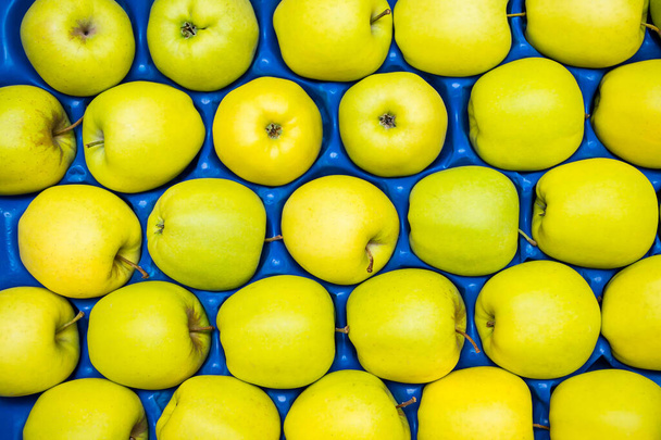 Colorful green apples arranged in blue crate - Foto, Imagem