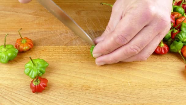 snij hete chili pepers in de bereiding van pikante saus, een Puerto Ricaanse hete saus 4k - Video
