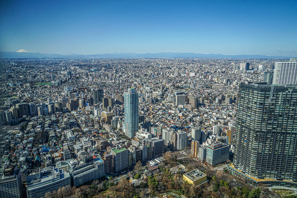 Tokyo skyline seen from the observation deck of the Tokyo Metropolitan Government Building - Photo, Image