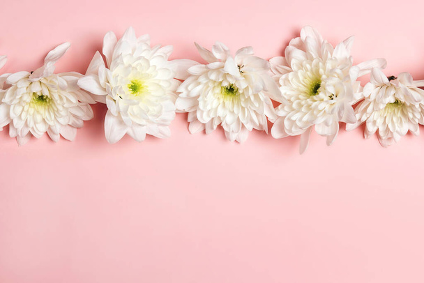 Flowers of chrysanthemum on a pink background. Copy space, top view. - Фото, зображення