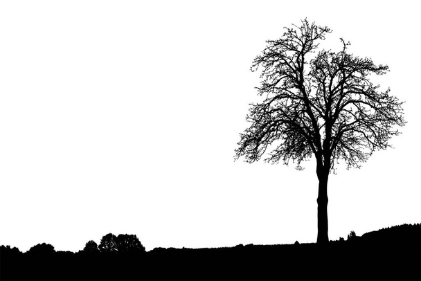 Sylwetka drzewa i krzew drzew z gołymi gałęziami. Zimowe krajobrazy drzew z daleka krajobraz i czarne miejsce na tekst, odizolowane  - Wektor, obraz