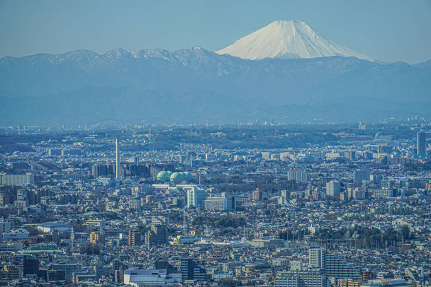 Tokyo başkent binasının gözlemevinden görülebilen Tokyo silueti ve Fuji dağı - Fotoğraf, Görsel