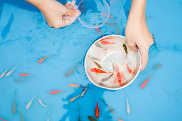 Imagem da salvação do peixe-dourado do festival de verão
 - Foto, Imagem