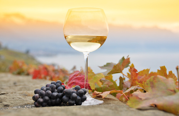 Вино и виноград. - Фото, изображение