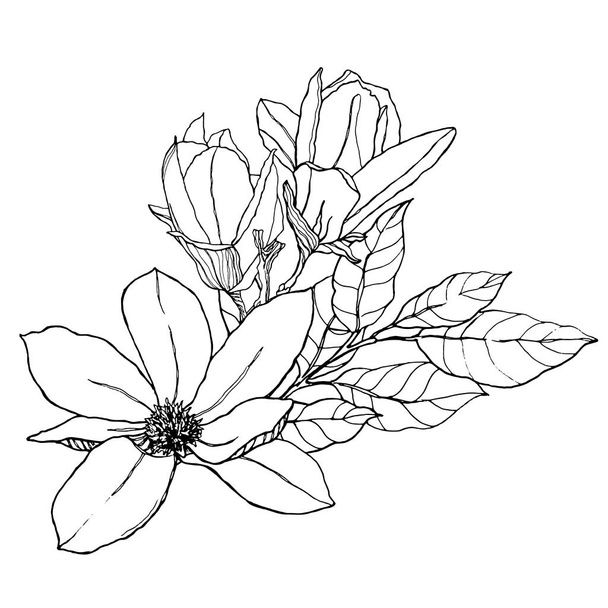 Bouquet floral aquarelle avec des feuilles d'art linéaire, des bourgeons et des magnolias. Carte peinte à la main avec des fleurs isolées sur fond blanc. Illustration printanière pour design, impression, tissu ou fond
. - Photo, image